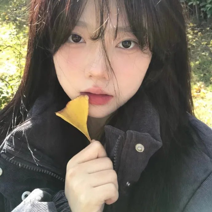 梦乡